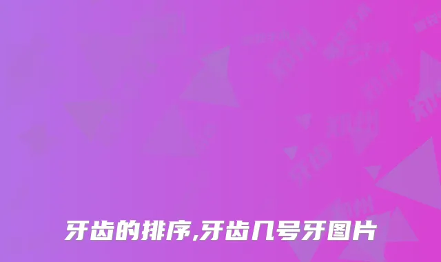 牙齿的排序,牙齿几号牙图片