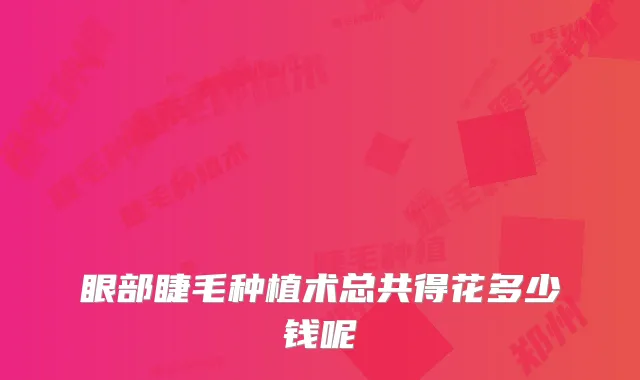 眼部睫毛种植术总共得花多少钱呢