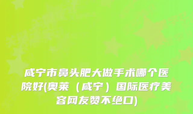咸宁市鼻头肥大做手术哪个医院好(奥莱（咸宁）国际医疗美容网友赞不绝口)