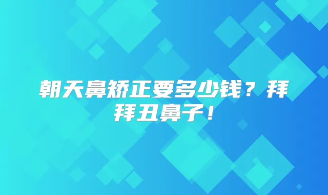 朝天鼻矫正要多少钱?拜拜丑鼻子!