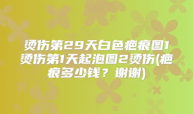 烫伤第29天白色疤痕图1烫伤第1天起泡图2烫伤(疤痕多少钱？谢谢)