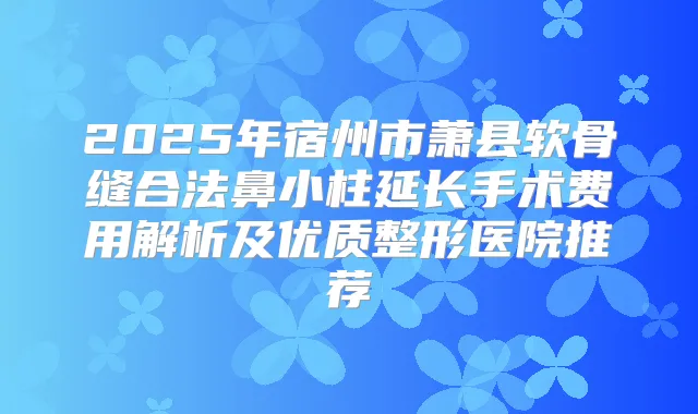 2025年宿州市萧县软骨缝合法鼻小柱延长手术费用解析及优质整形医院推荐