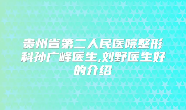 贵州省第二人民医院整形科孙广峰医生,刘野医生好的介绍