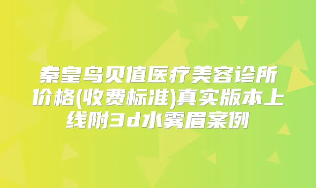 秦皇鸟贝值医疗美容诊所价格(收费标准)真实版本上线附3d水雾眉案例