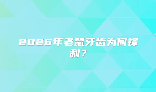 2026年老鼠牙齿为何锋利？