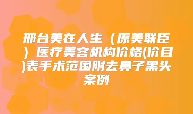 邢台美在人生（原美联臣）医疗美容机构价格(价目)表手术范围附去鼻子黑头案例