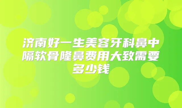 济南好一生美容牙科鼻中隔软骨隆鼻费用大致需要多少钱