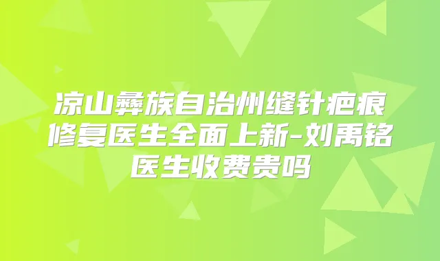 凉山彝族自治州缝针疤痕修复医生全面上新-刘禹铭医生收费贵吗
