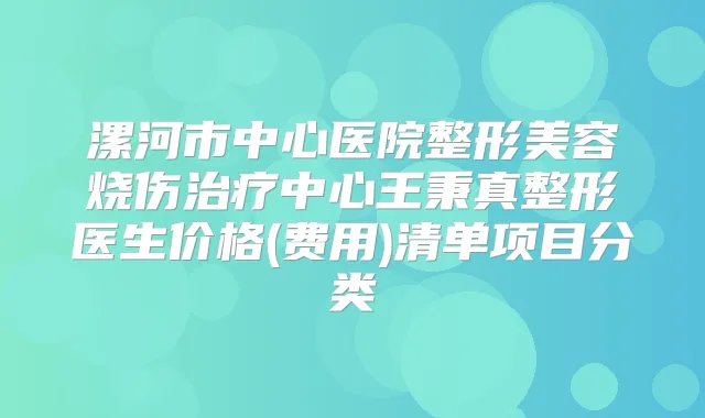 漯河市中心医院整形美容烧伤中心王秉真整形医生价格(费用)清单项目分类