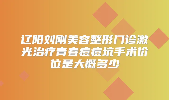 辽阳刘刚美容整形门诊激光青春痘痘坑手术价位是大概多少