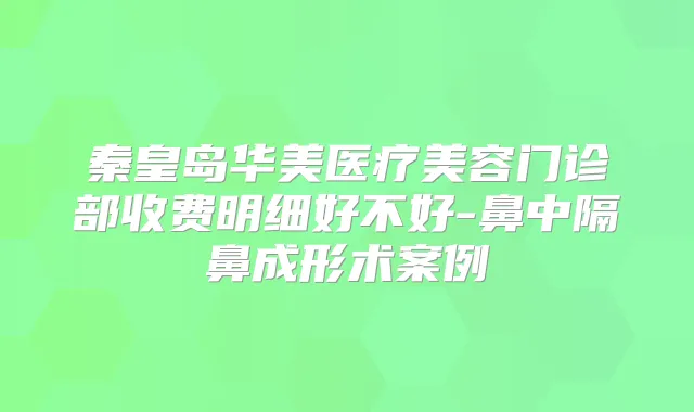 秦皇岛华美医疗美容门诊部收费明细好不好-鼻中隔鼻成形术案例