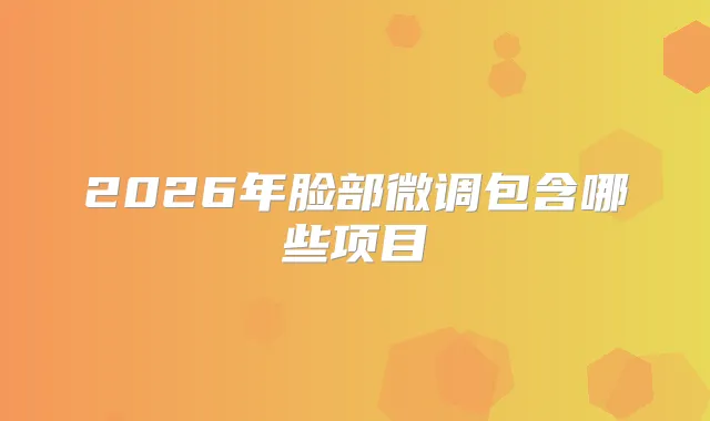 2026年脸部微调包含哪些项目