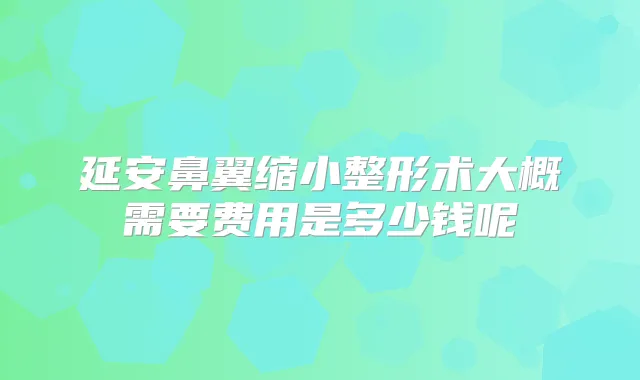延安鼻翼缩小整形术大概需要费用是多少钱呢