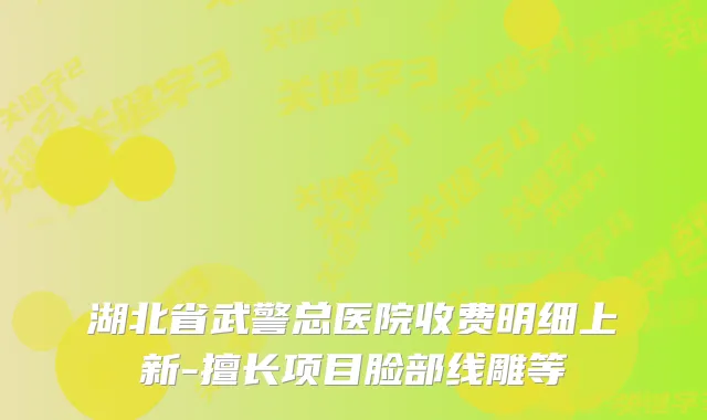 湖北省武警总医院收费明细上新-擅长项目脸部线雕等
