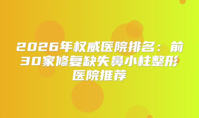 2026年医院排名:前30家修复缺失鼻小柱整形医院推荐