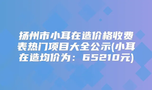扬州市小耳在造价格收费表热门项目大全公示(小耳在造均价为：65210元)