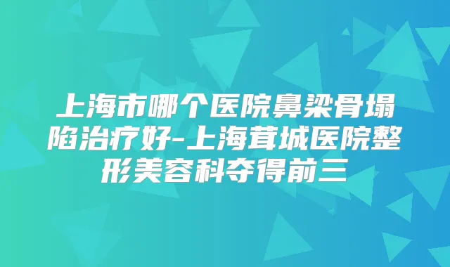 上海市哪个医院鼻梁骨塌陷好-上海茸城医院整形美容科夺得前三