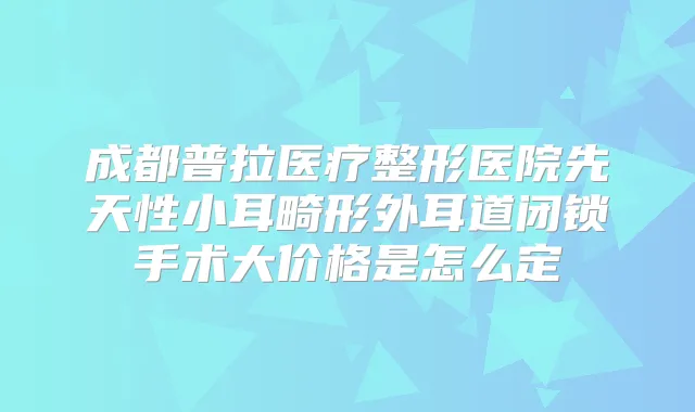 成都普拉医疗整形医院先天性小耳畸形外耳道闭锁手术大价格是怎么定