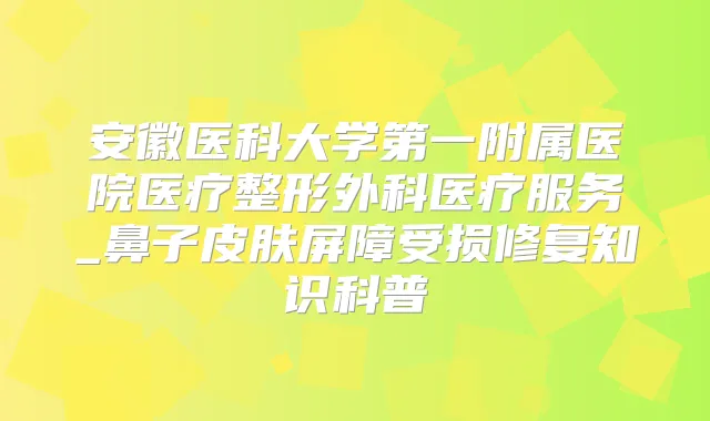 安徽医科大学第一附属医院医疗整形外科医疗服务_鼻子皮肤屏障受损修复知识科普