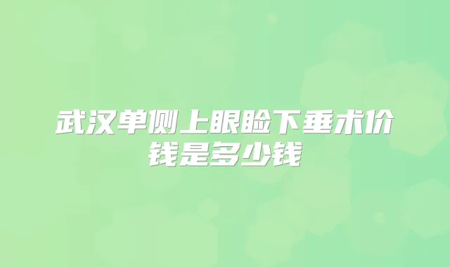 武汉单侧上眼睑下垂术价钱是多少钱