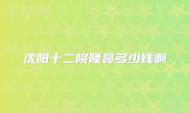 沈阳十二院隆鼻多少钱啊