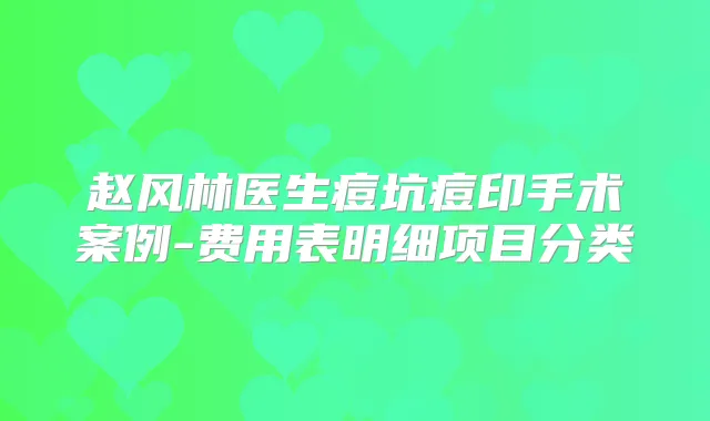 赵风林医生痘坑痘印手术案例-费用表明细项目分类