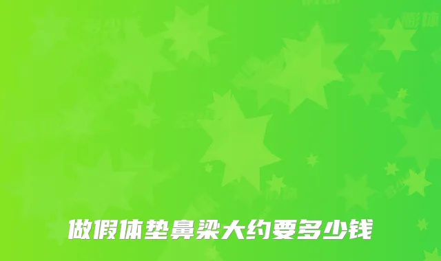 做假体垫鼻梁大约要多少钱