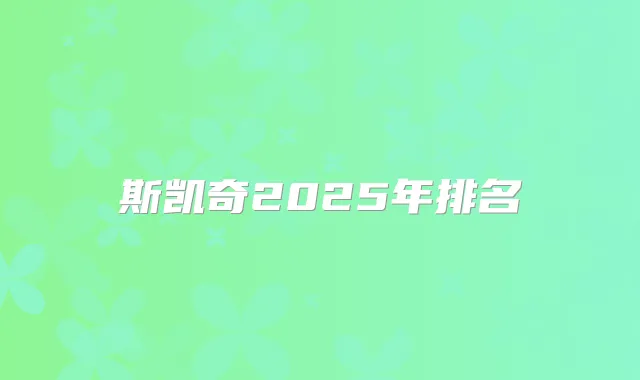 斯凯奇2025年排名