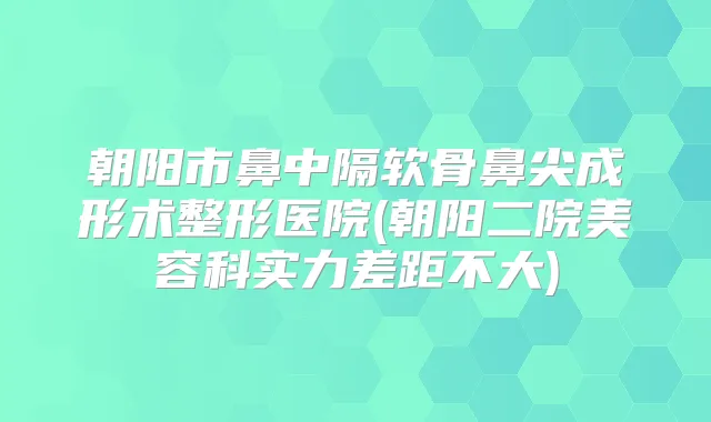 朝阳市鼻中隔软骨鼻尖成形术整形医院(朝阳二院美容科实力差距不大)