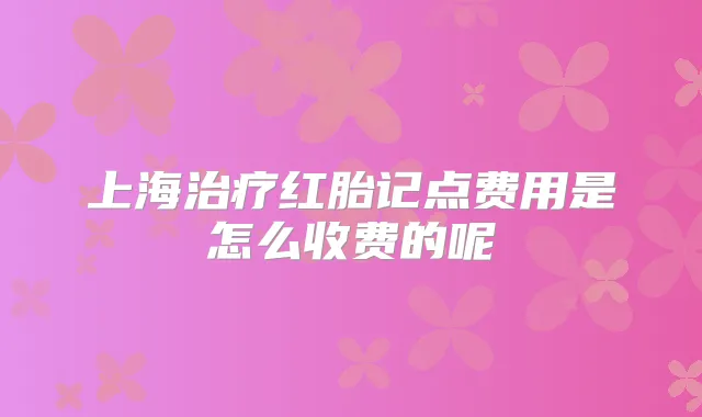 上海红胎记点费用是怎么收费的呢