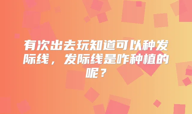 有次出去玩知道可以种发际线，发际线是咋种植的呢？