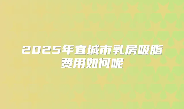 2025年宜城市乳房吸脂费用如何呢