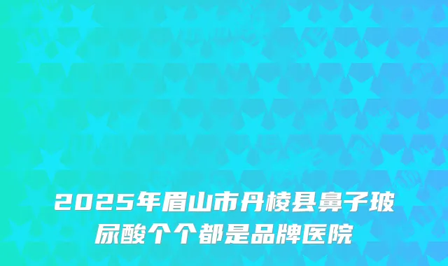 2025年眉山市丹棱县鼻子玻尿酸个个都是品牌医院