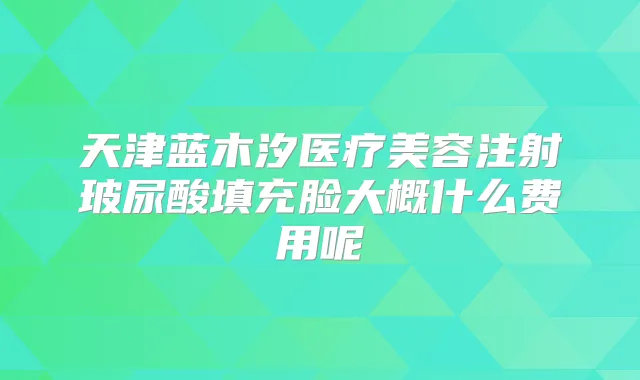 天津蓝木汐医疗美容注射玻尿酸填充脸大概什么费用呢