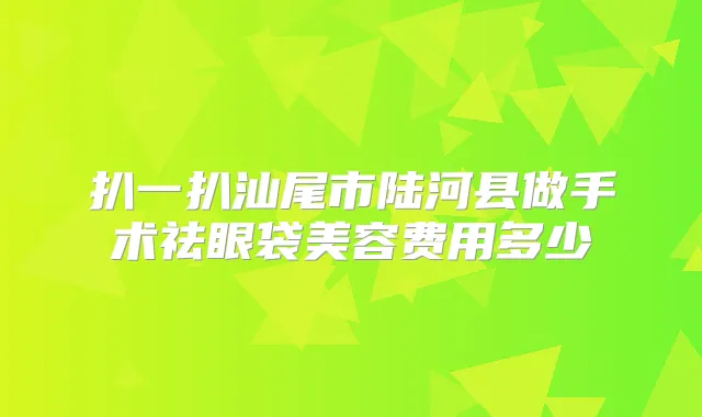 扒一扒汕尾市陆河县做手术祛眼袋美容费用多少