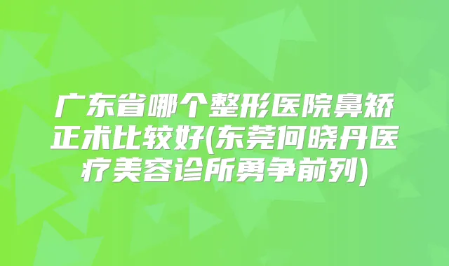 广东省哪个整形医院鼻矫正术比较好(东莞何晓丹医疗美容诊所勇争前列)
