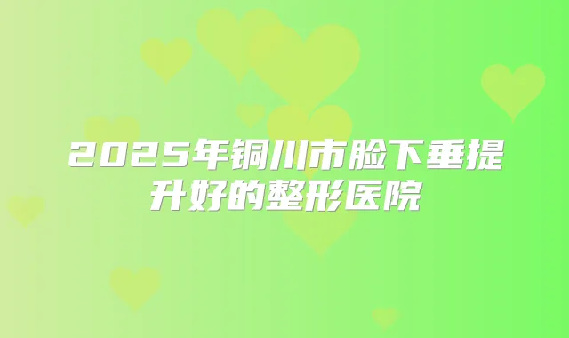 2025年铜川市脸下垂提升好的整形医院