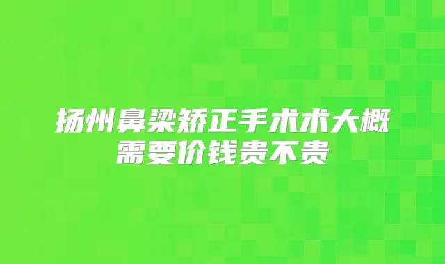 扬州鼻梁矫正手术术大概需要价钱贵不贵