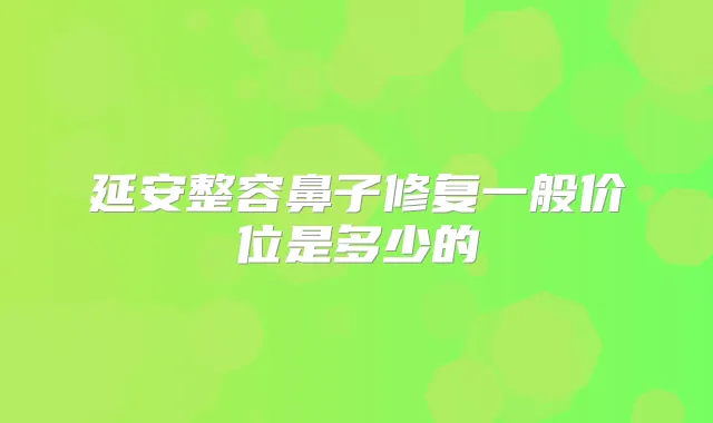 延安整容鼻子修复一般价位是多少的