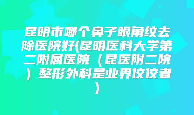 昆明市哪个鼻子眼角纹去除医院好(昆明医科大学第二附属医院(昆医附二院)整形外科是业界佼佼者)
