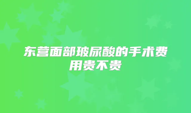 东营面部玻尿酸的手术费用贵不贵