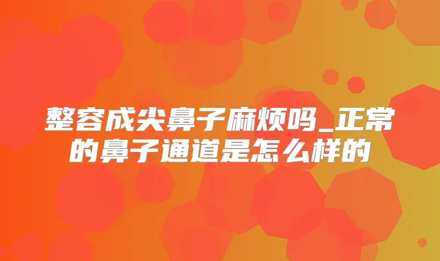 整容成尖鼻子麻烦吗_正常的鼻子通道是怎么样的