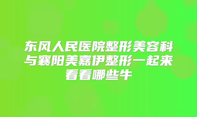东风人民医院整形美容科与襄阳美嘉伊整形一起来看看哪些牛