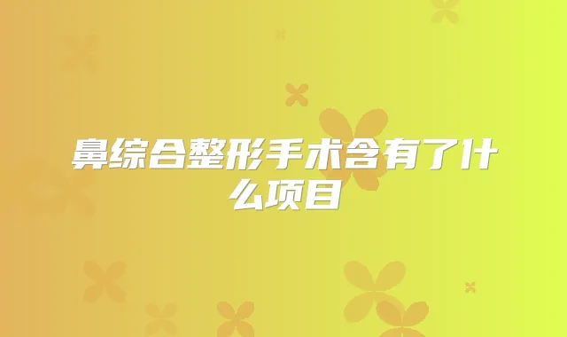 鼻综合整形手术含有了什么项目