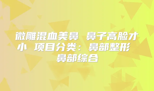 微雕混血美鼻 鼻子高脸才小 项目分类:鼻部整形 鼻部综合