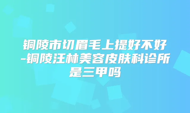 铜陵市切眉毛上提好不好-铜陵汪林美容皮肤科诊所是三甲吗