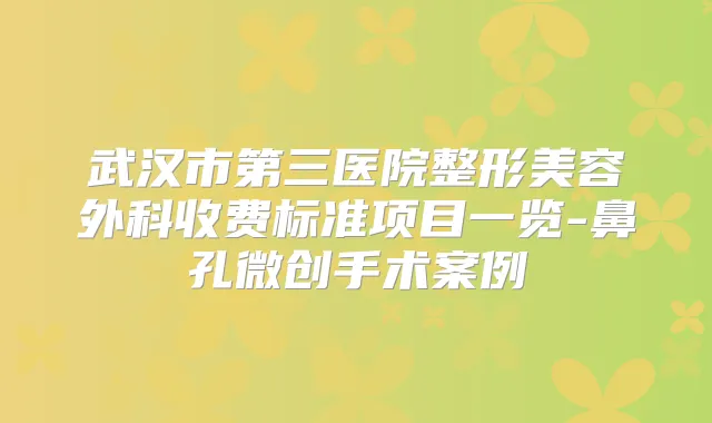 武汉市第三医院整形美容外科收费标准项目一览-鼻孔微创手术案例